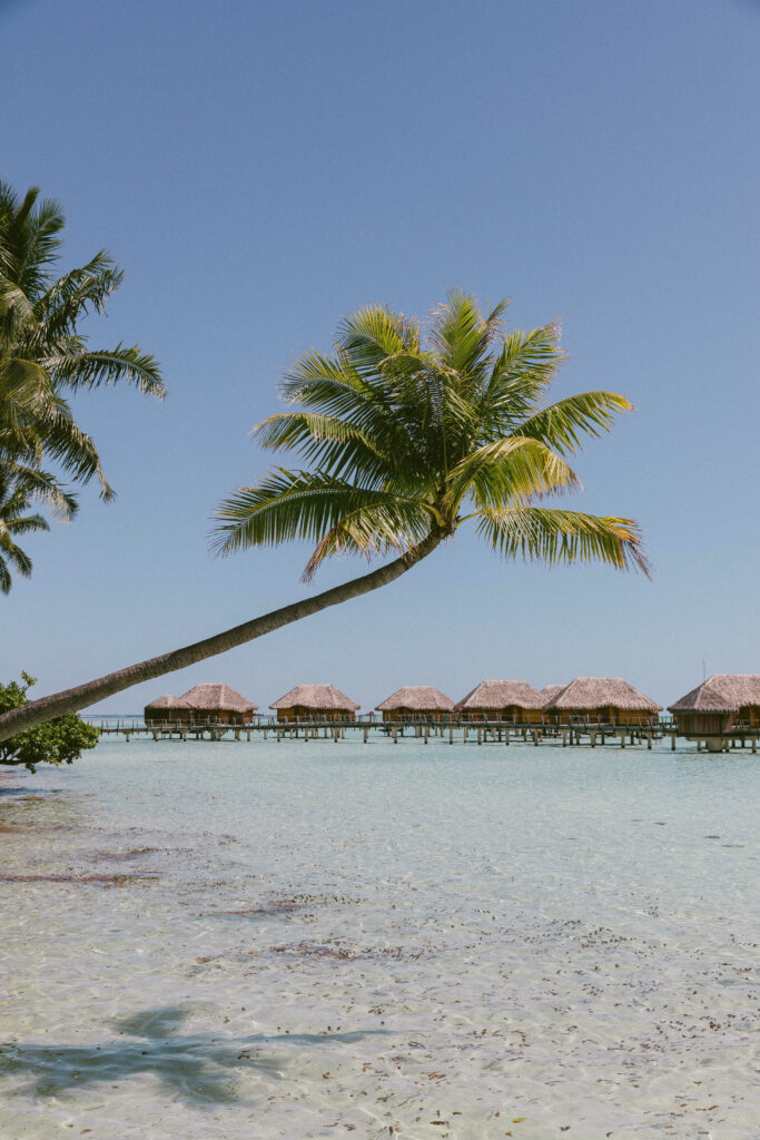 french polynesia